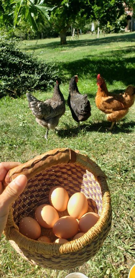 B&B La Ferme De Loubens Εξωτερικό φωτογραφία